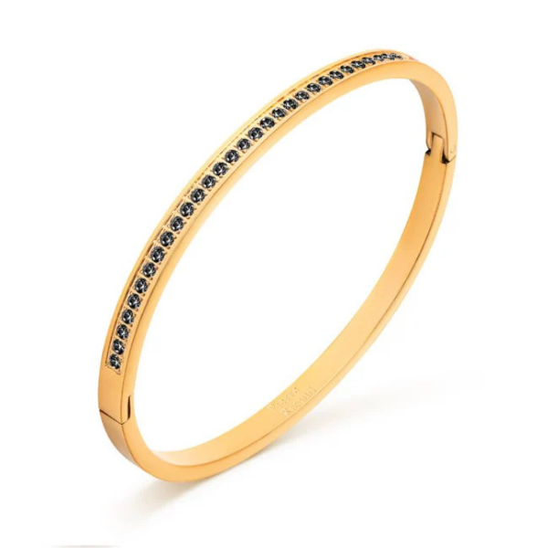 Bracciale da donna Pierre Ricaud PR136.1BZ