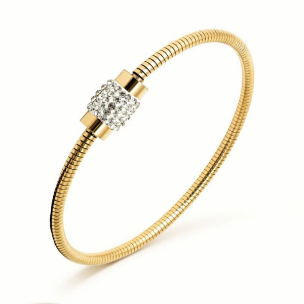 Bracciale Donna Pierre Ricaud PR165.1WZ