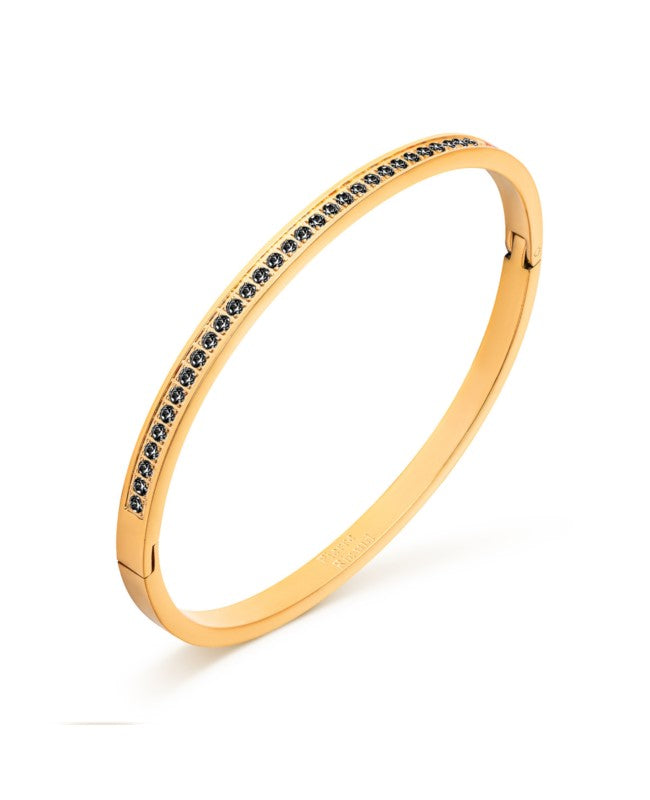 Bracciale da donna Pierre Ricaud PR136.1BZ
