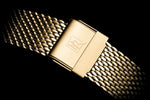 Orologio da donna Pierre Ricaud P22111.1114Q