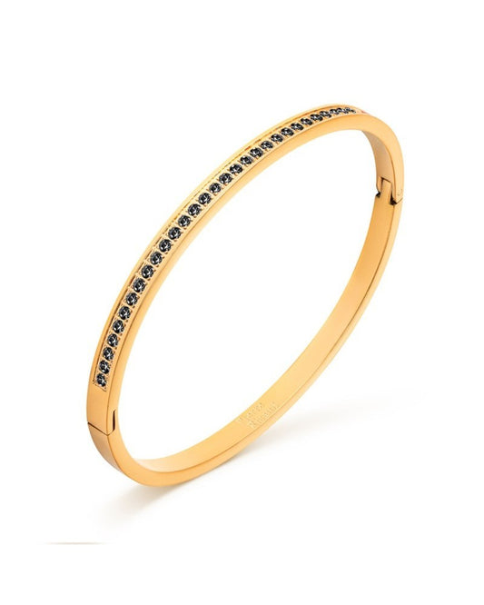 Bracciale da donna Pierre Ricaud PR136.1BZ