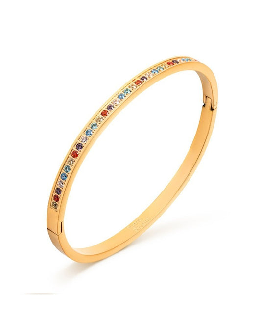 Bracciale da donna Pierre Ricaud PR136.1MZ