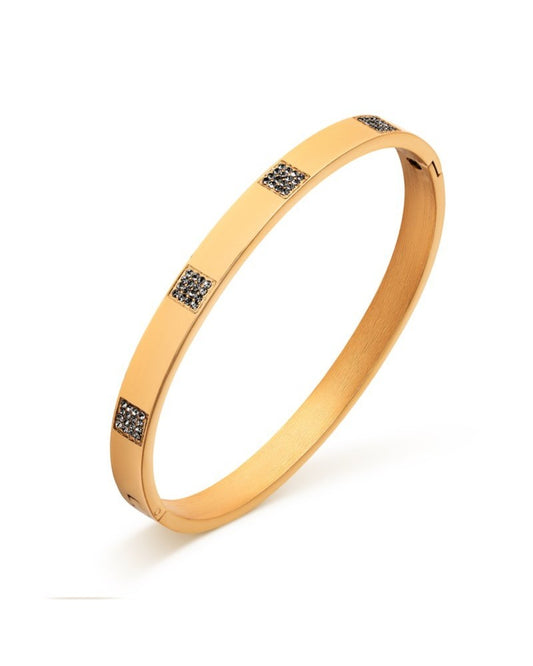 Bracciale Donna Pierre Ricaud PR161.1BZ